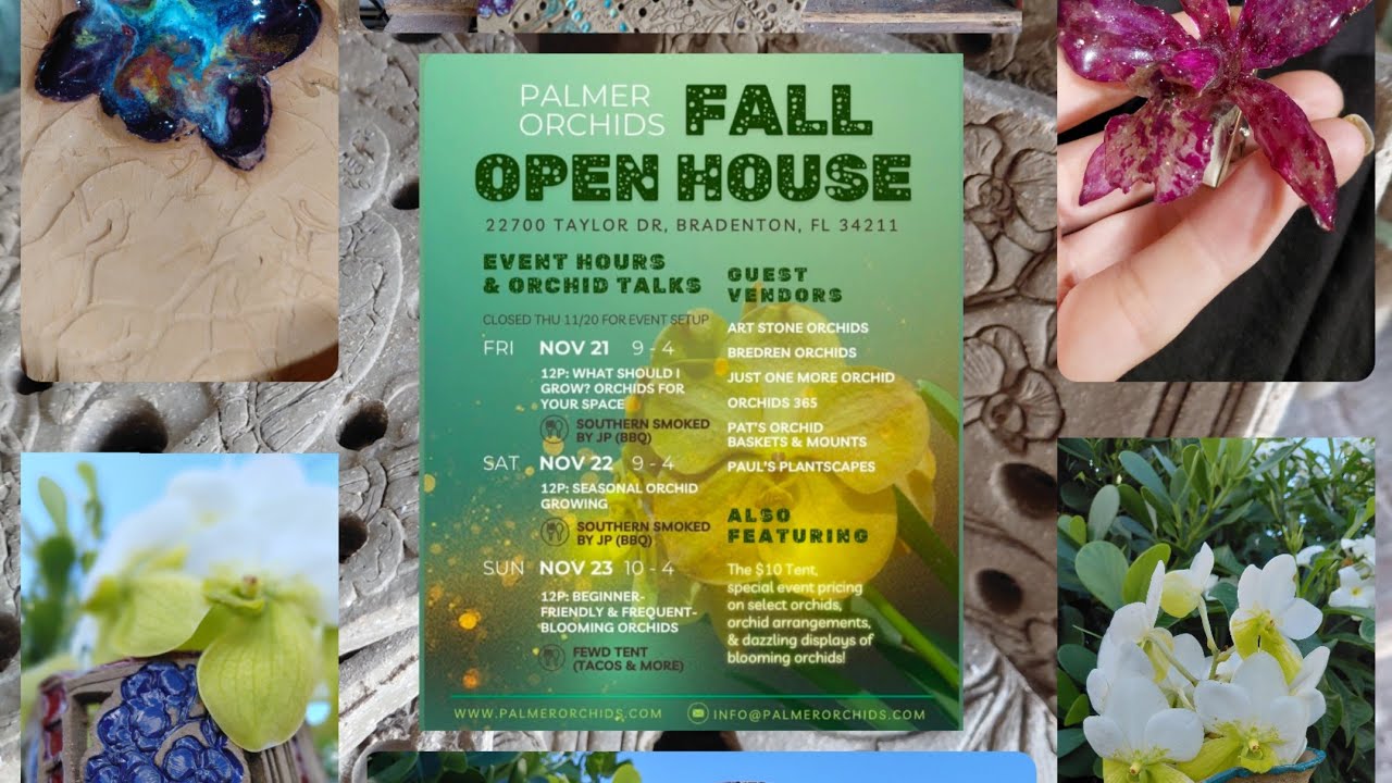 ПРЕДВАРИТЕЛЬНЫЙ ОБЗОР ПРЕЗЕНТАЦИИ ИЗУМИТЕЛЬНОГО СОБЫТИЯ «ОРХИДИИ». ОСЕННИЙ ДЕНЬ ОТКРЫТЫХ ДВЕРЕЙ В...