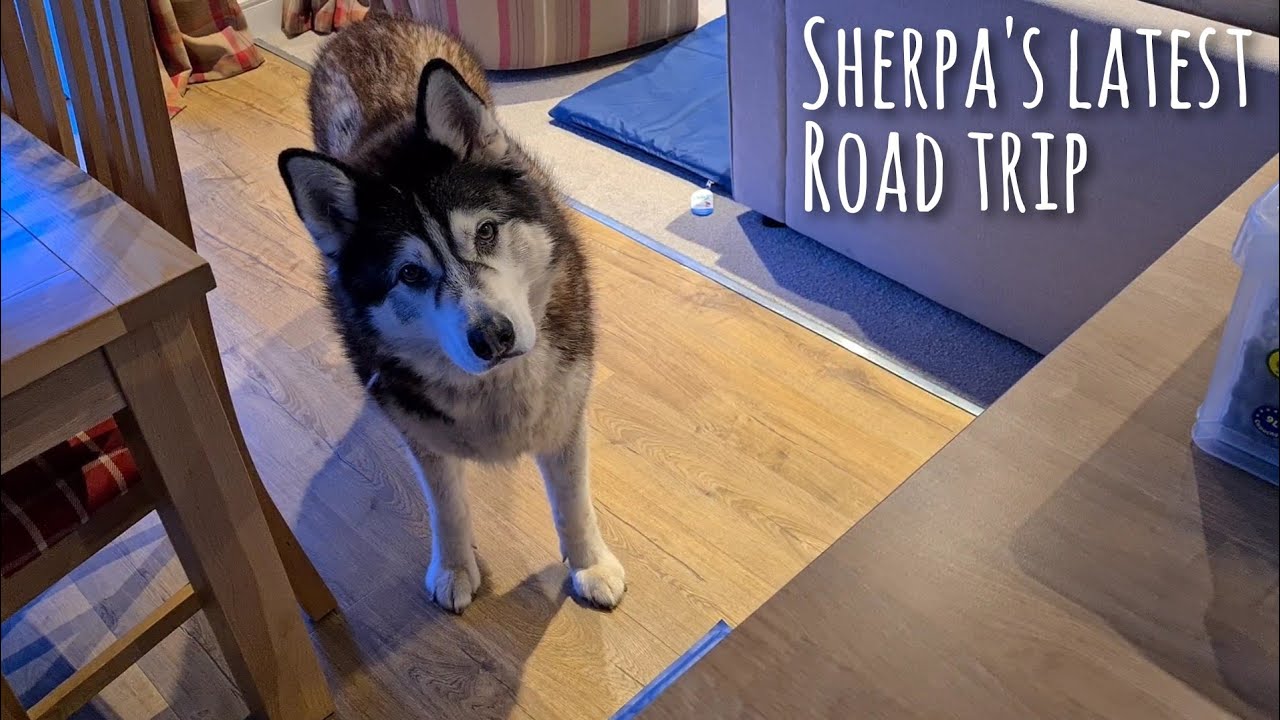 Sherpa's Latest Road Trip Starts Here and Now!
