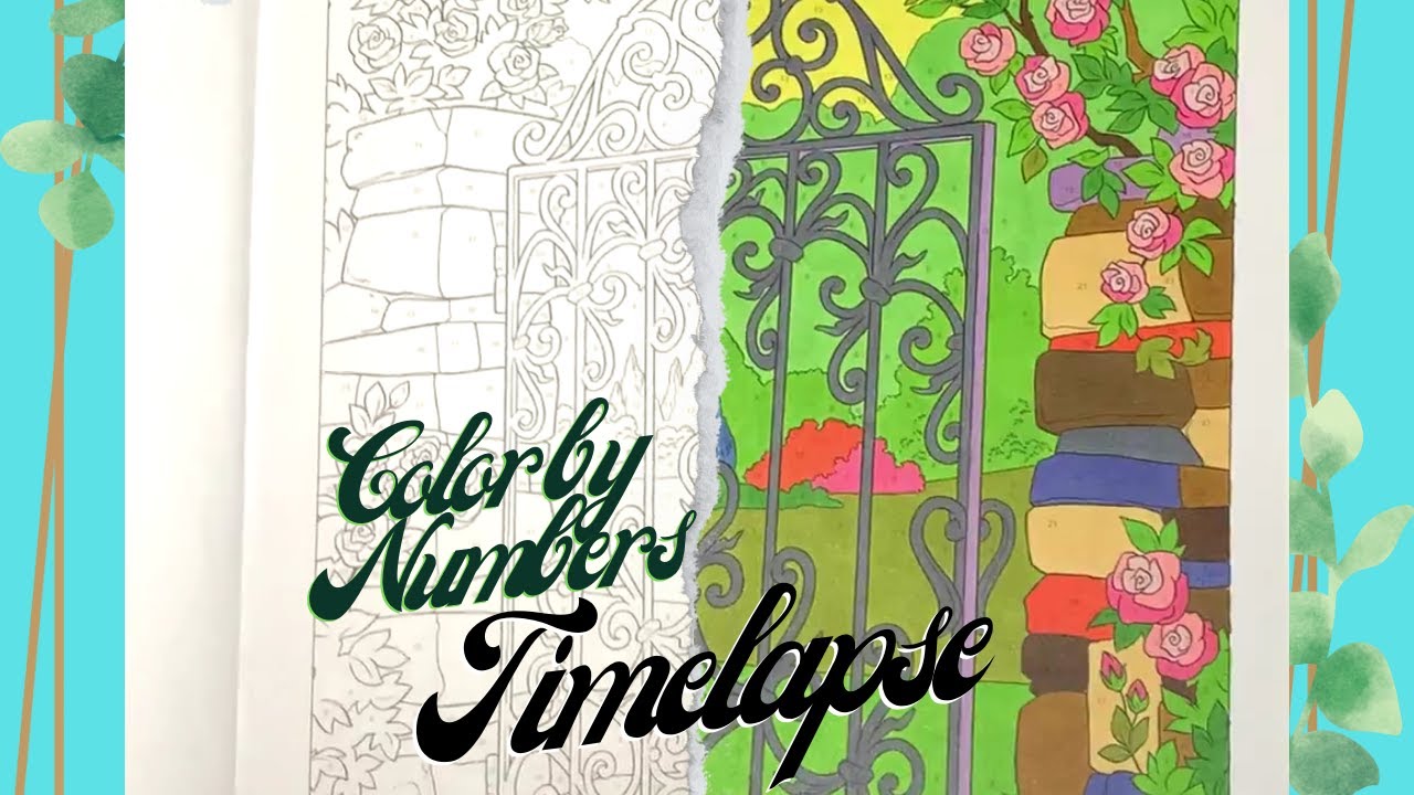 Color by Numbers Time Lapse | #1