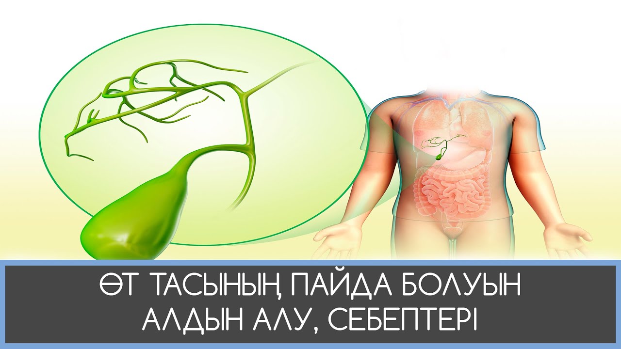 ӨТ ТАСЫ, ПАЙДА БОЛУ СЕБЕПТЕРІ, АЛДЫН АЛУ ЖАТТЫҒУЛАРЫ!!!