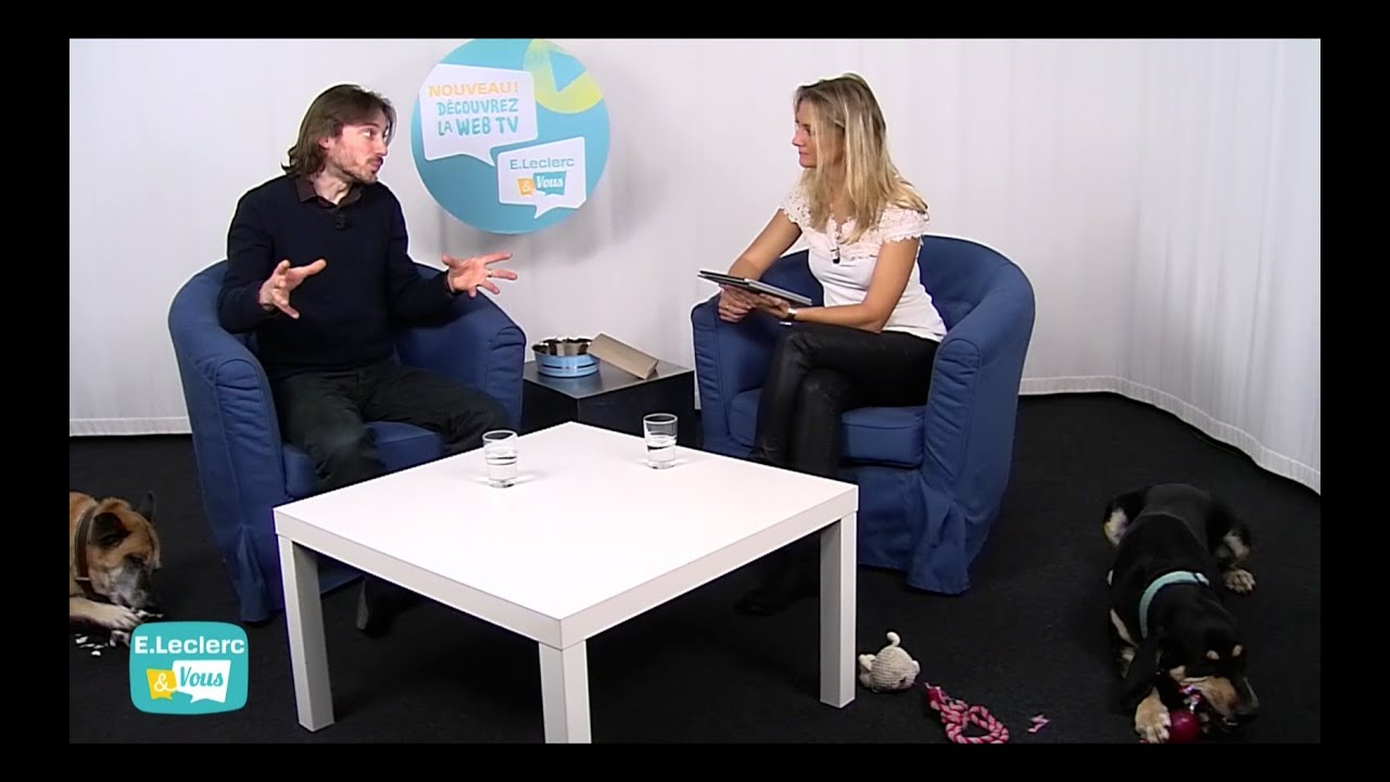 Replay live chat - Spécial Animaux