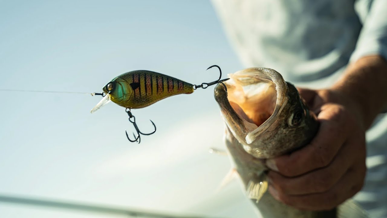 The ULTIMATE Squarebill Rod