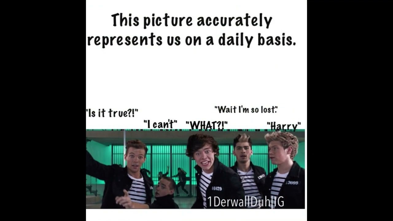 one direction memes|1D| FUNNY MEMES