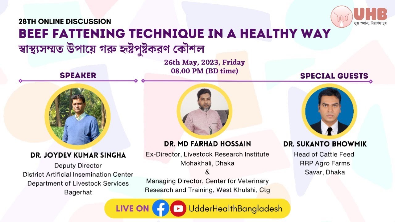 স্বাস্থ্যসম্মত উপায়ে গরু হৃষ্টপুষ্টকরণ কৌশল