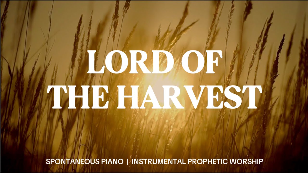 LORD OF THE HARVEST | Prophetic Worship | Music for Prayer and Intercession