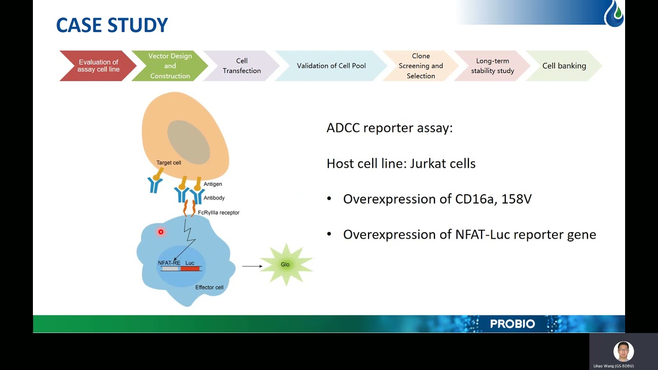Development of cell-based functional assay with high efficiency