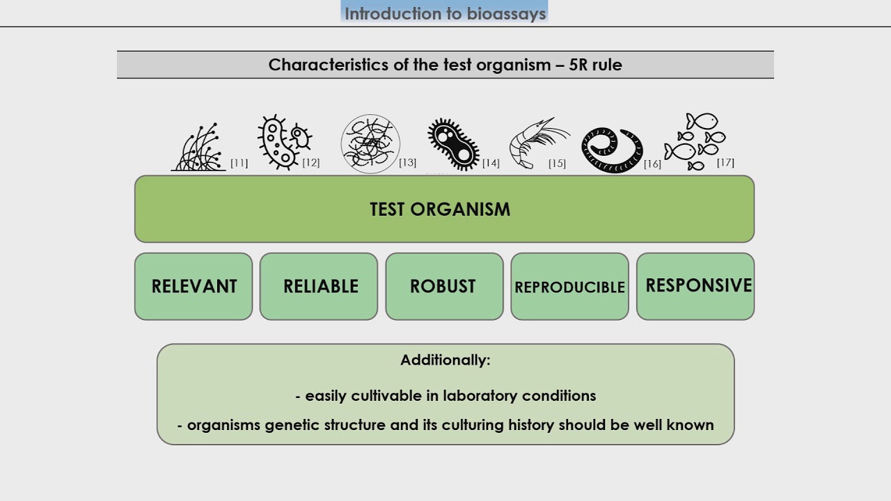 Introduction to bioassays