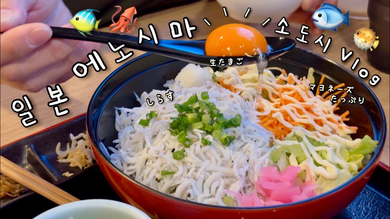 일본 미식여행🍙 시라스부터 조개구이까지! 😋 에노시마 찐 맛집 먹방 특집🐟✨