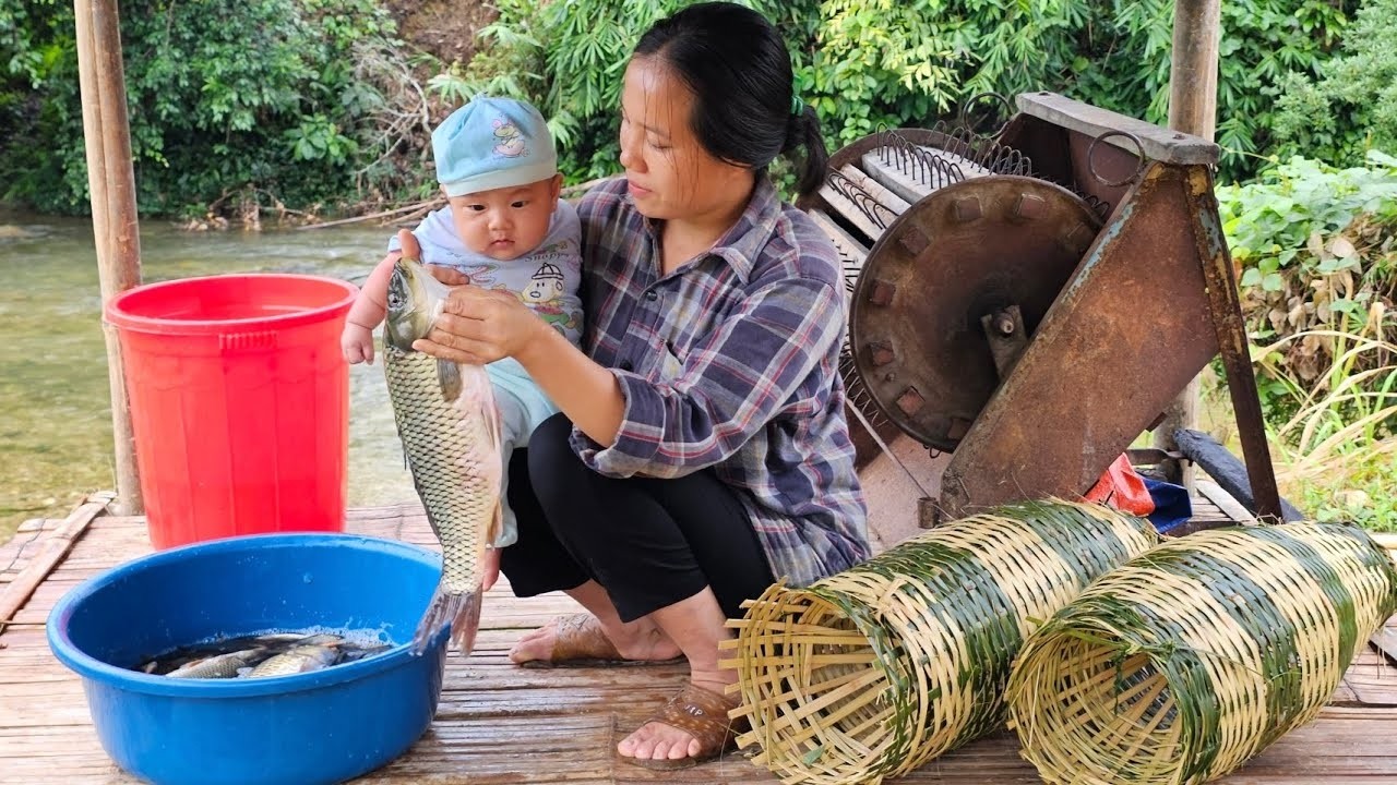 FULL VIDEO: The life of a single mother - raising children, picking fruit, harvesting rice, fishing.