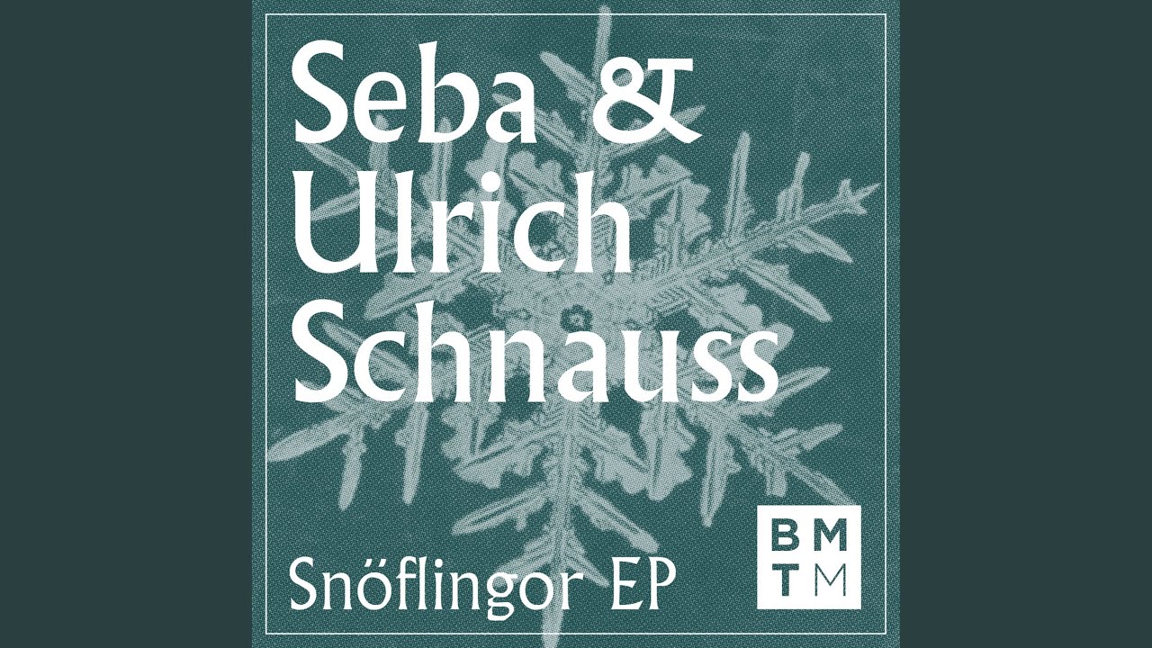 Snöflingor
