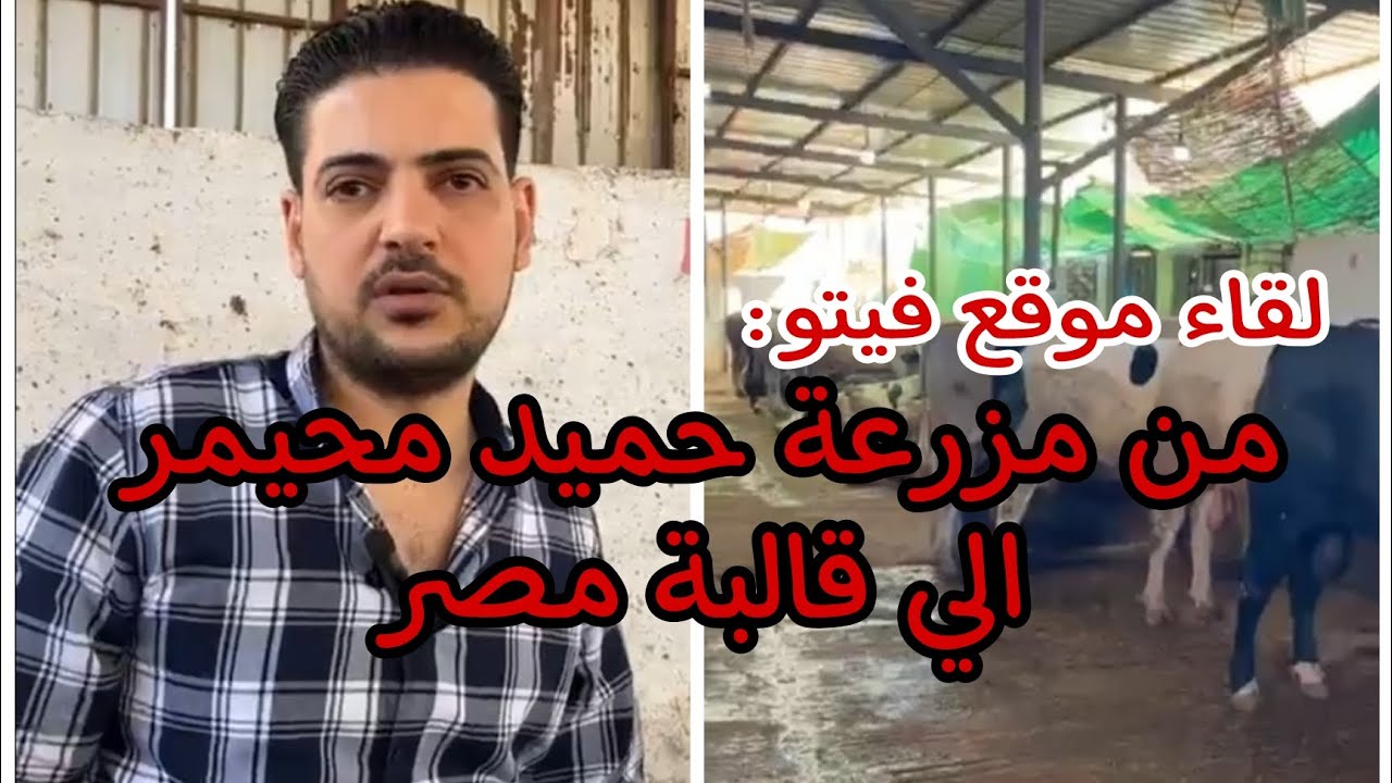 لقاء موقع فيتو | من مزرعه حميد محيمر الي قالبة مصر كلها..وهذه أهم النصائح عند شراء الاضحية