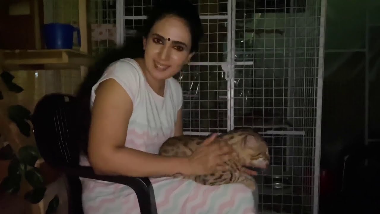 Anu Joseph മസ്താൻ കട്ട കലിപ്പിൽ cat fighting