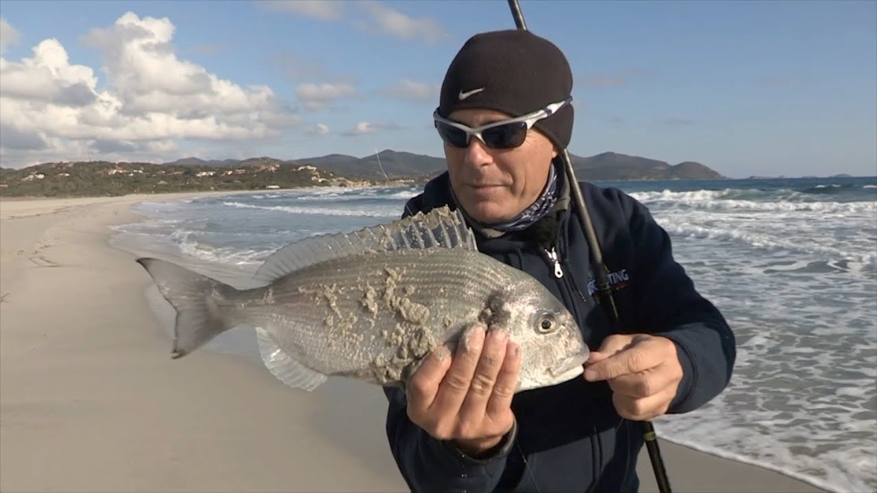 Travi e bait clip.