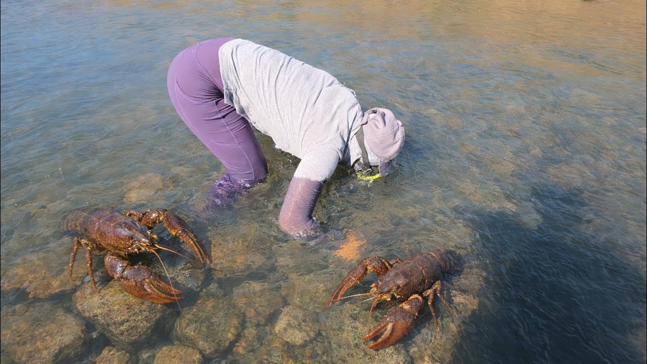 María pesca y cocina chacalines y cangrejos 🦀 /BELLEZAS SALVADOREÑAS 