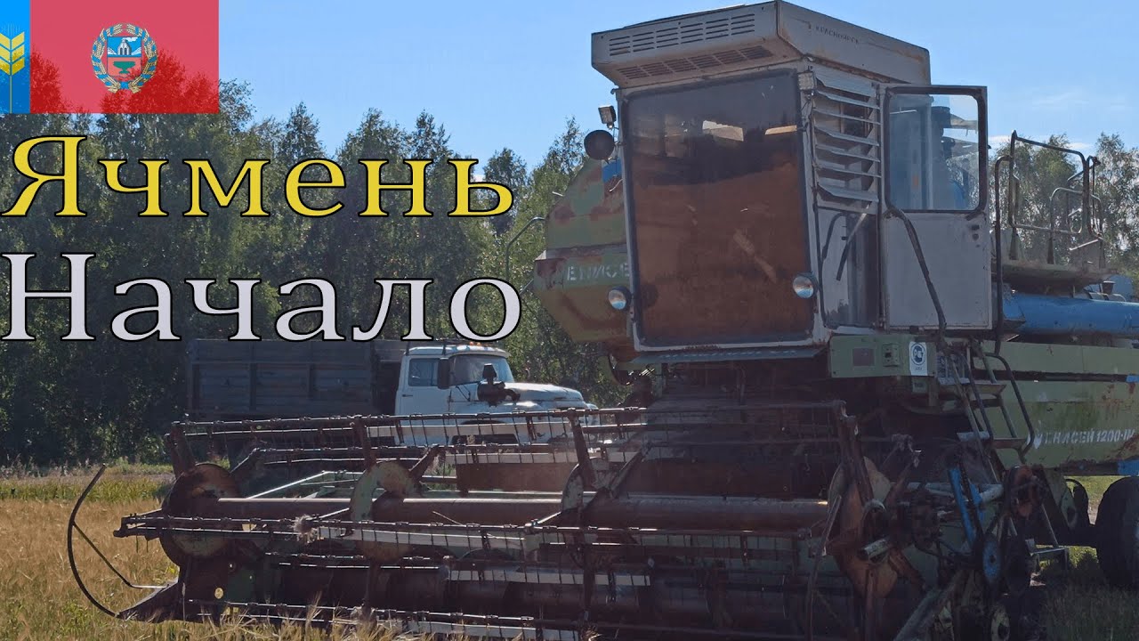Сезон 2022. Попытка молотить ячмень 23-24 августа.