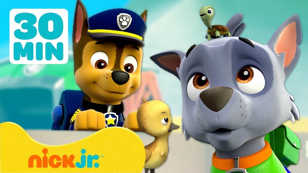 Paw Patrol - La Squadra dei Cuccioli | Quando gli animali invadono la Torretta! | Nick Jr. Italia