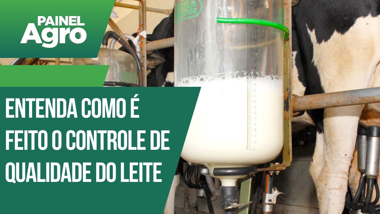 Entenda como &eacute; feito o controle de qualidade do leite