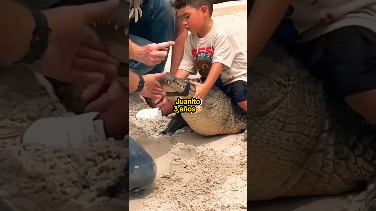 JUANITO Y SU COCODRILO 😳😱 | #jukilop #shorts #kimberlyloaiza