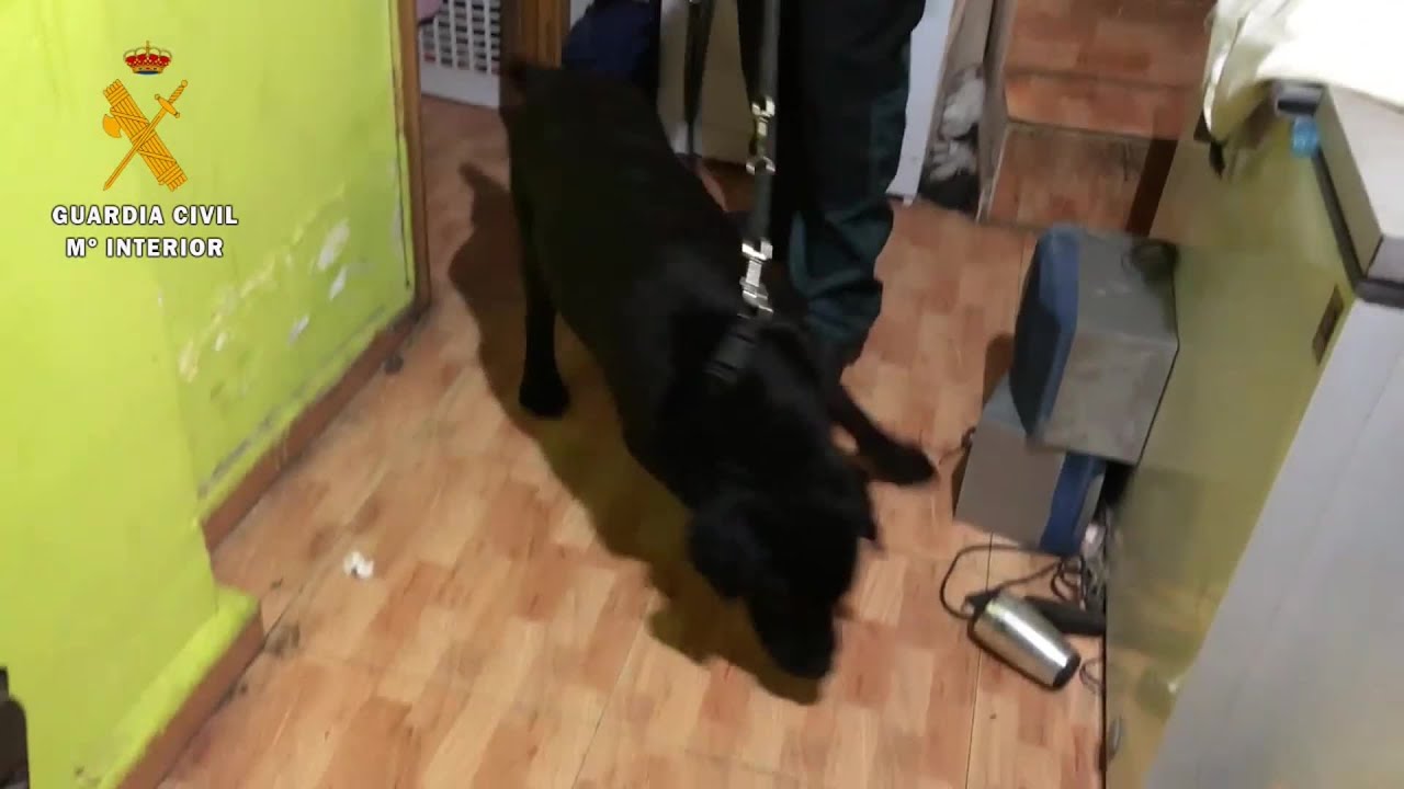Desmantelamiento de punto de venta de droga a menores en Calahorra (La Rioja)