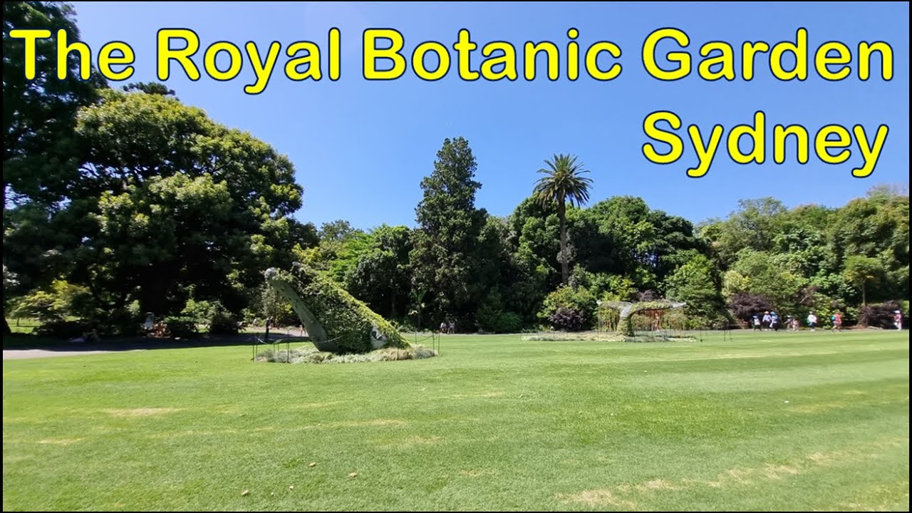 Uncovering the Stunning Secrets of the Royal Botanic Garden Sydney! | Sydney Travel Guide