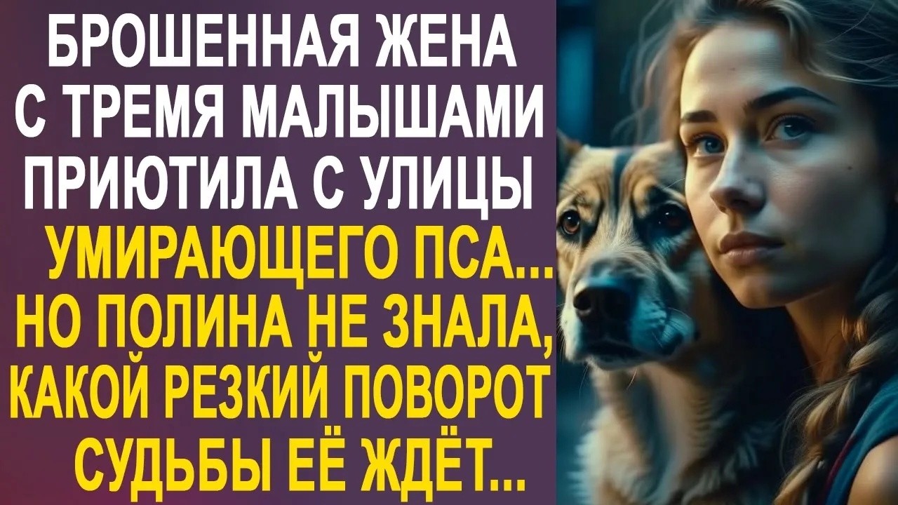 Брошенная жена приютила уличного пса  Но Полина не знала, какой поворот судьбы её вскоре ждёт