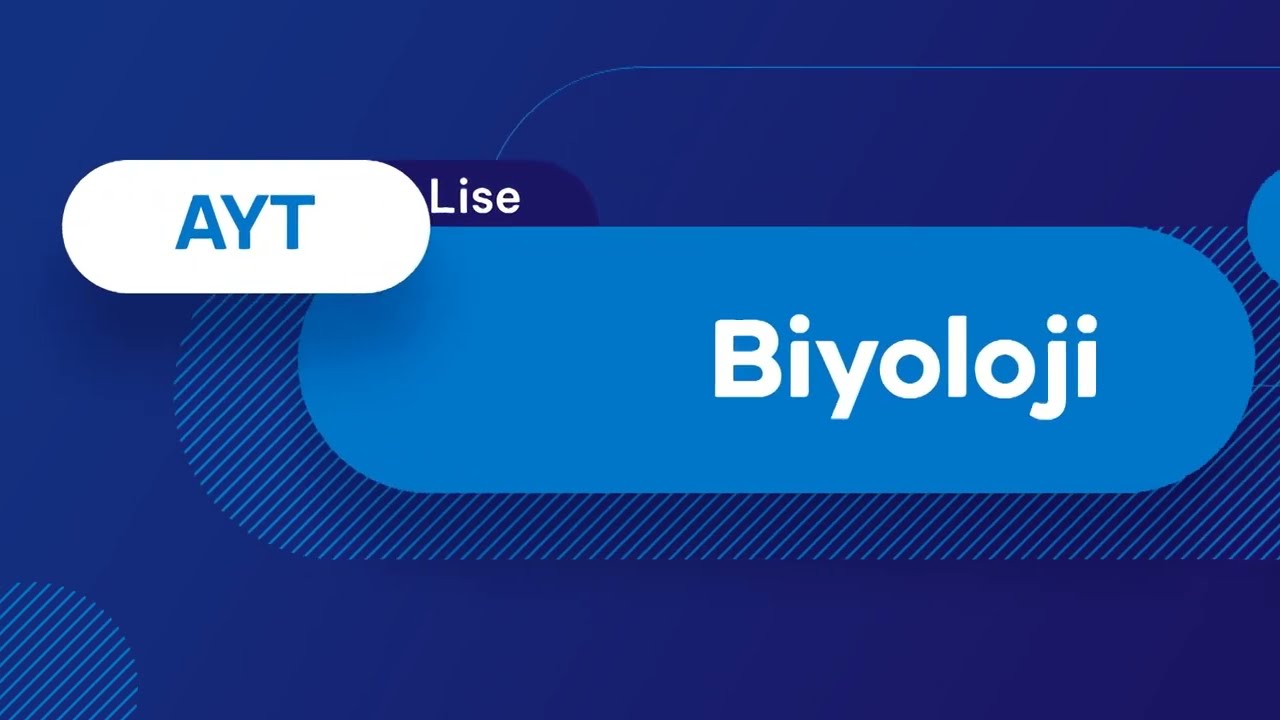 2019 YKS Sınav Soru Çözümleri Biyoloji AYT