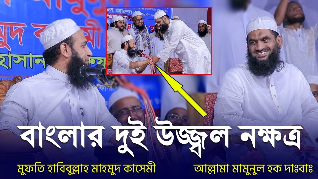 বাংলার দুই উজ্জ্বল নক্ষত্র | মুফতি হাবিবুল্লাহ মাহমুদ কাসেমী | আল্লামা মামুনুল হক | Bangla Waz