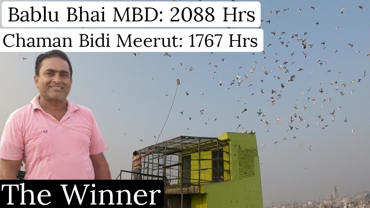 258 कबूतरों के 2088 घन्टे बना कर बब्लु भाई ने जीत हासिल की💪🏻 | Congratulations 🏆