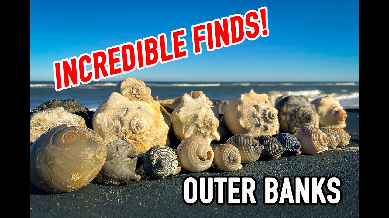INCREDIBLE OBX Adventure!