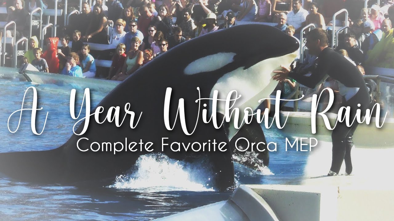 a year without rain :: complete orca mep 