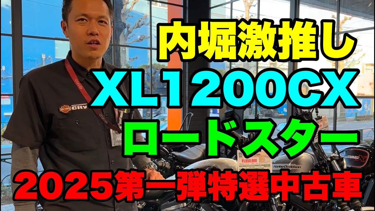【特選中古車紹介】店長激推し★XL1200CX＆ロードスター