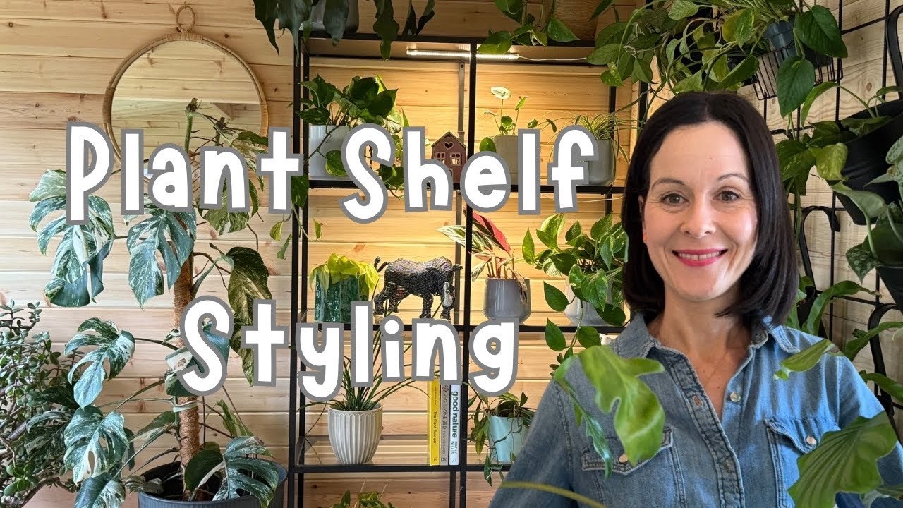 Plant Shelf Clean Up And Styling 🌱