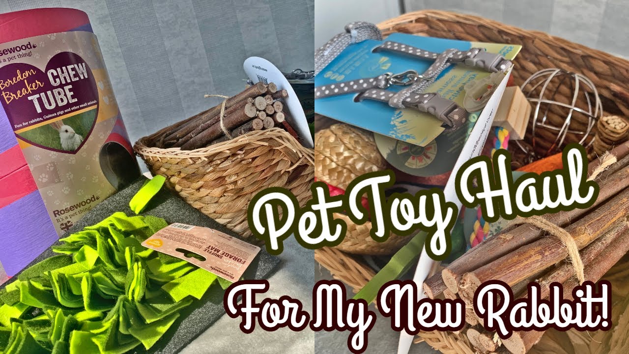 PET TOY HAUL For My New Rabbit! | KatiesPetLife