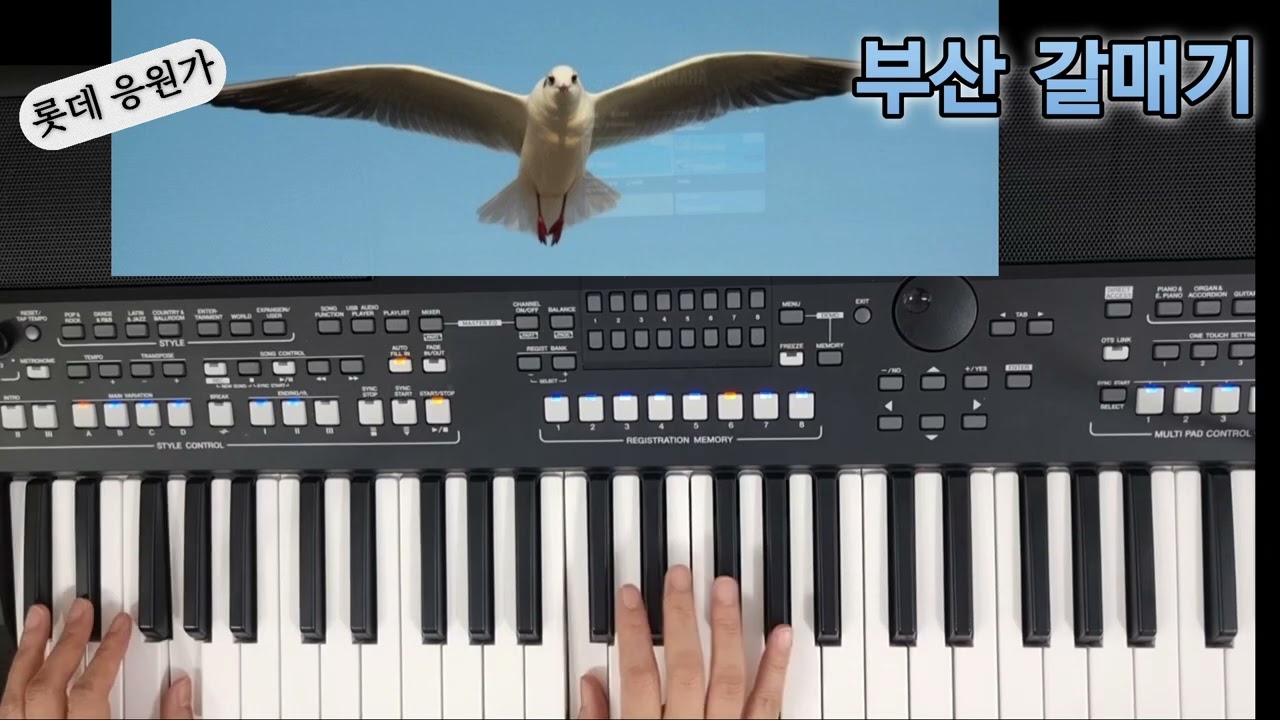 부산 갈매기 | 롯데 응원가 | Cm key