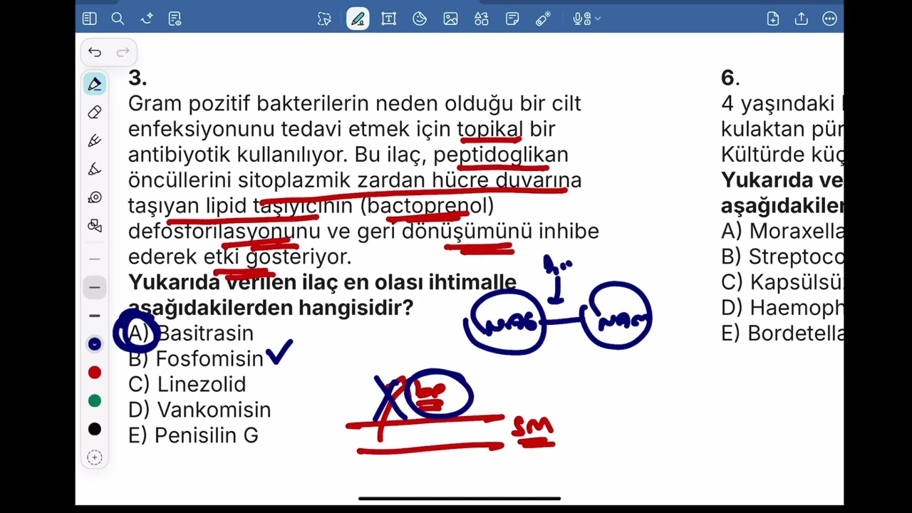 4 MİKRO ON DENEME SINAVI - 4