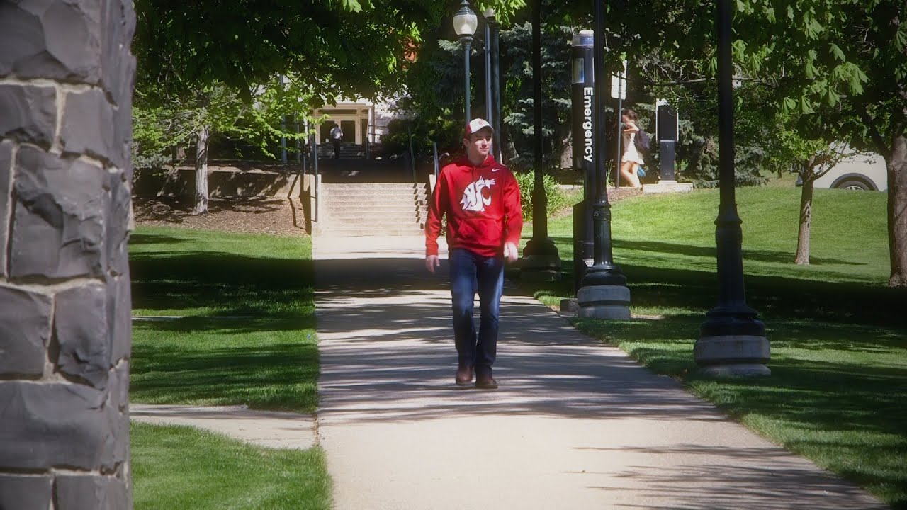 You Can Do This at WSU!  Ignite