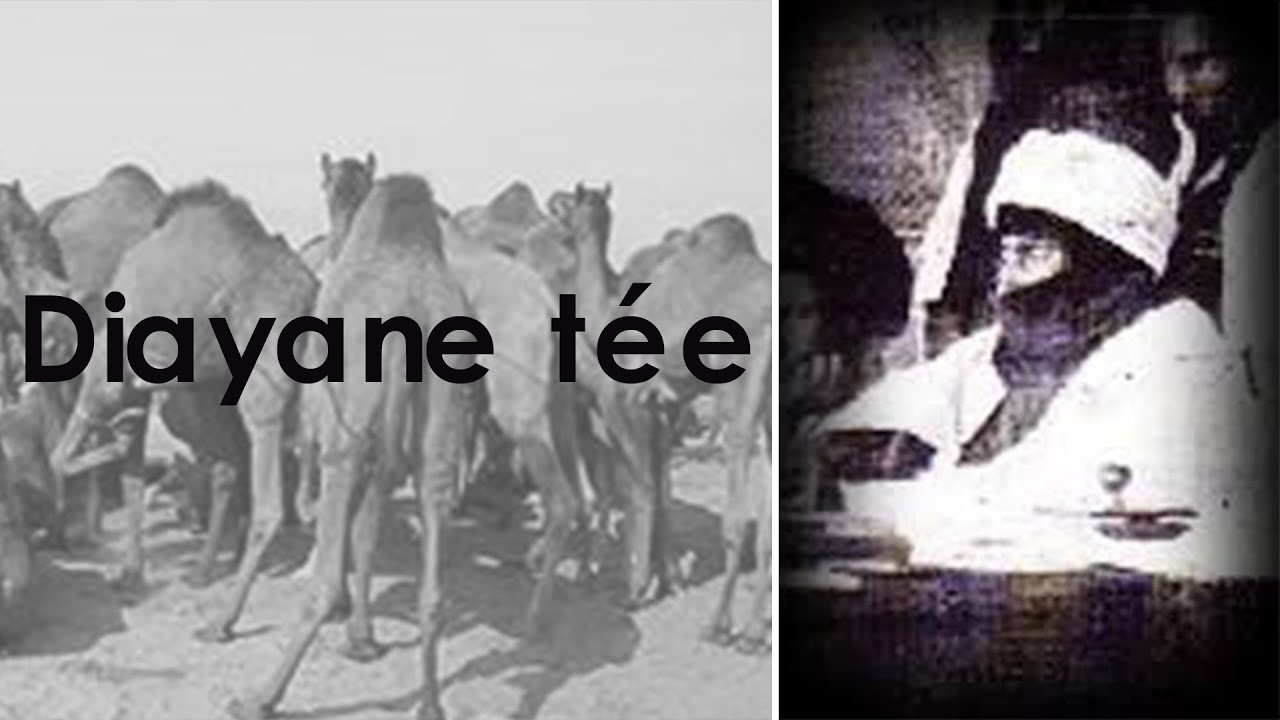 Cheikh Sadbou et son Père - Cheikhna Mouhamed Fadel (Education Enseignement) Cheikh Pape Gueye