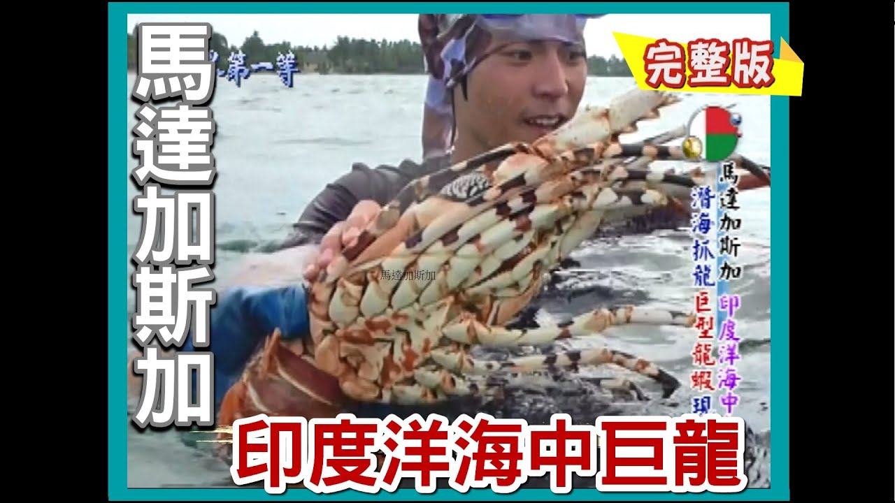 【馬達加斯加】印度洋抓龍高手 龍蝦王/沙地洞穴怪螃蟹海中巨象 鯨魚/國慶派對好嗨｜《世界第一等》  468集完整版