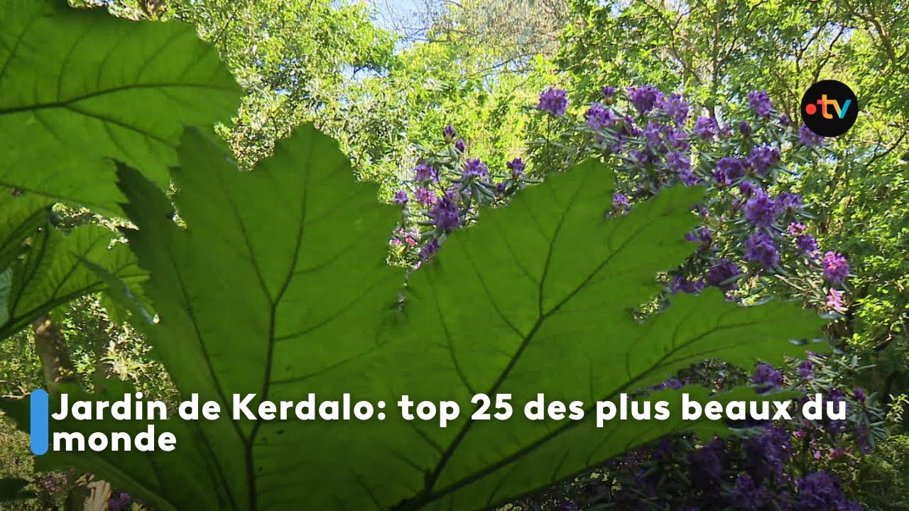 Jardin de Kerdalo: top 25 des plus beaux du monde