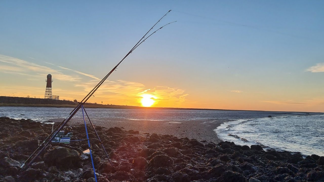 Targeting the Cod and testing another new spot on the Humber