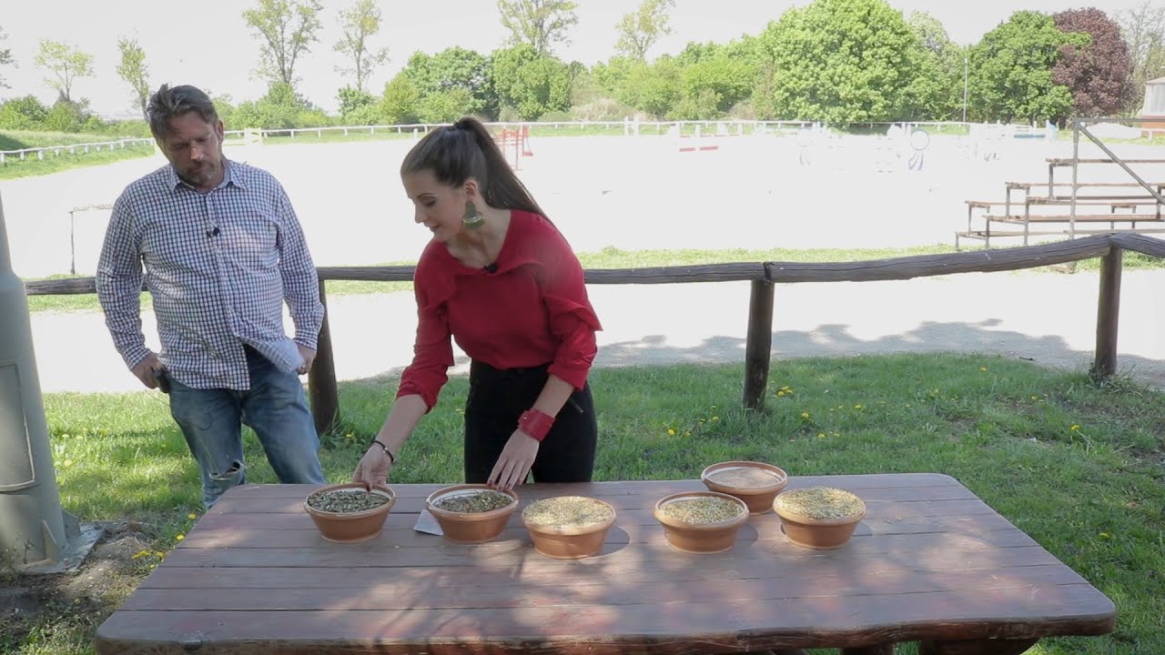 Minden napra lovaskult&uacute;ra - T&aacute;p vagy m&uuml;zli? (18. r&eacute;sz)