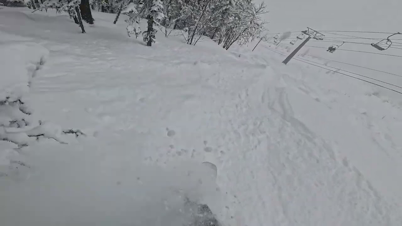 Глк Телецкое. 20.02. 2025г. 