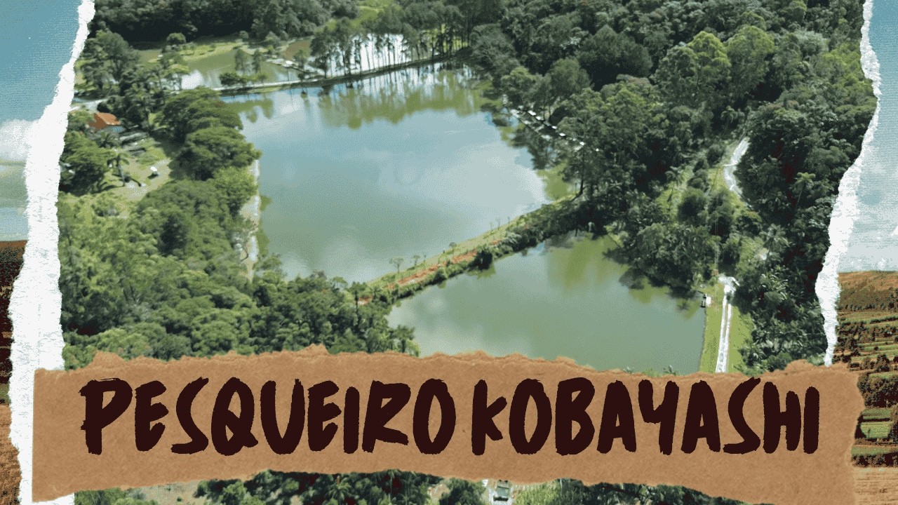 PESQUEIRO KOBAYASHI | Perdi muito peixe nesse dia