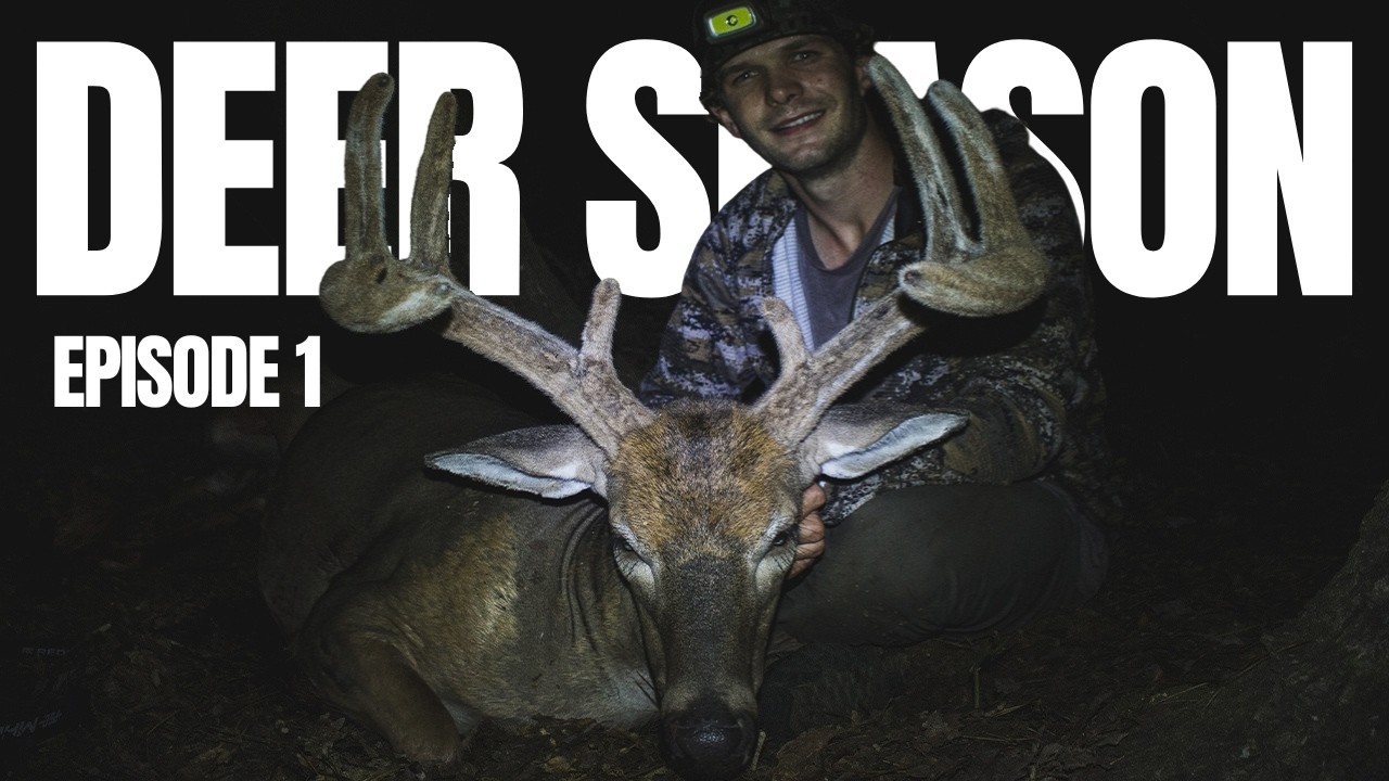 BIG VELVET BUCK inside 20 YARDS!! - Bowhunting Early-Season Whitetails - Delaware Public Land 2025