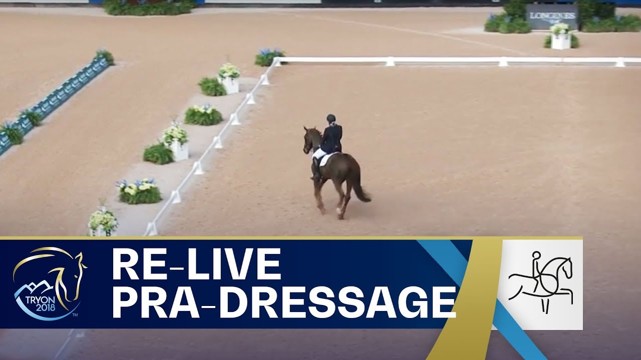 RE-LIVE Para-Dressage – Grade V + II Team | FEI World Equestrian Games 2018