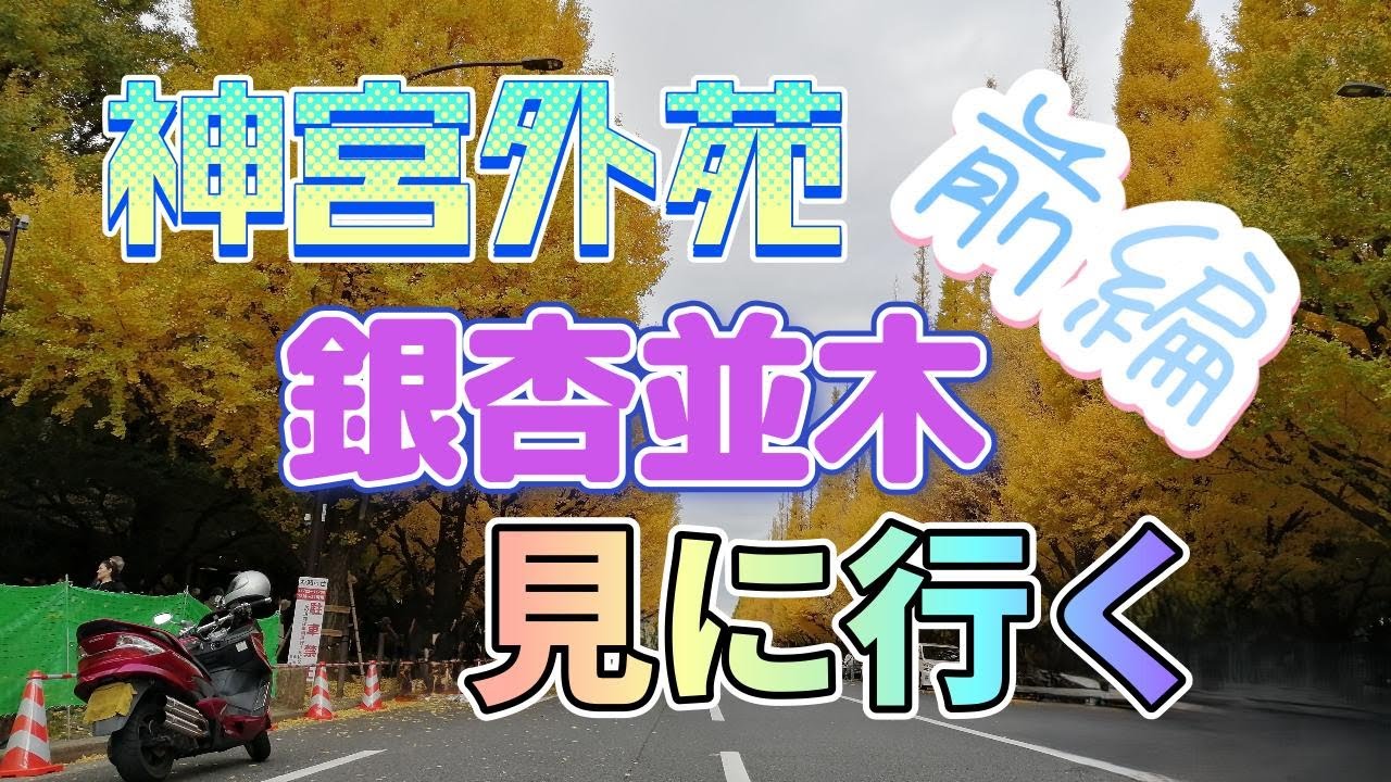 【スカイウェイブ250】神宮外苑銀杏並木見に行く