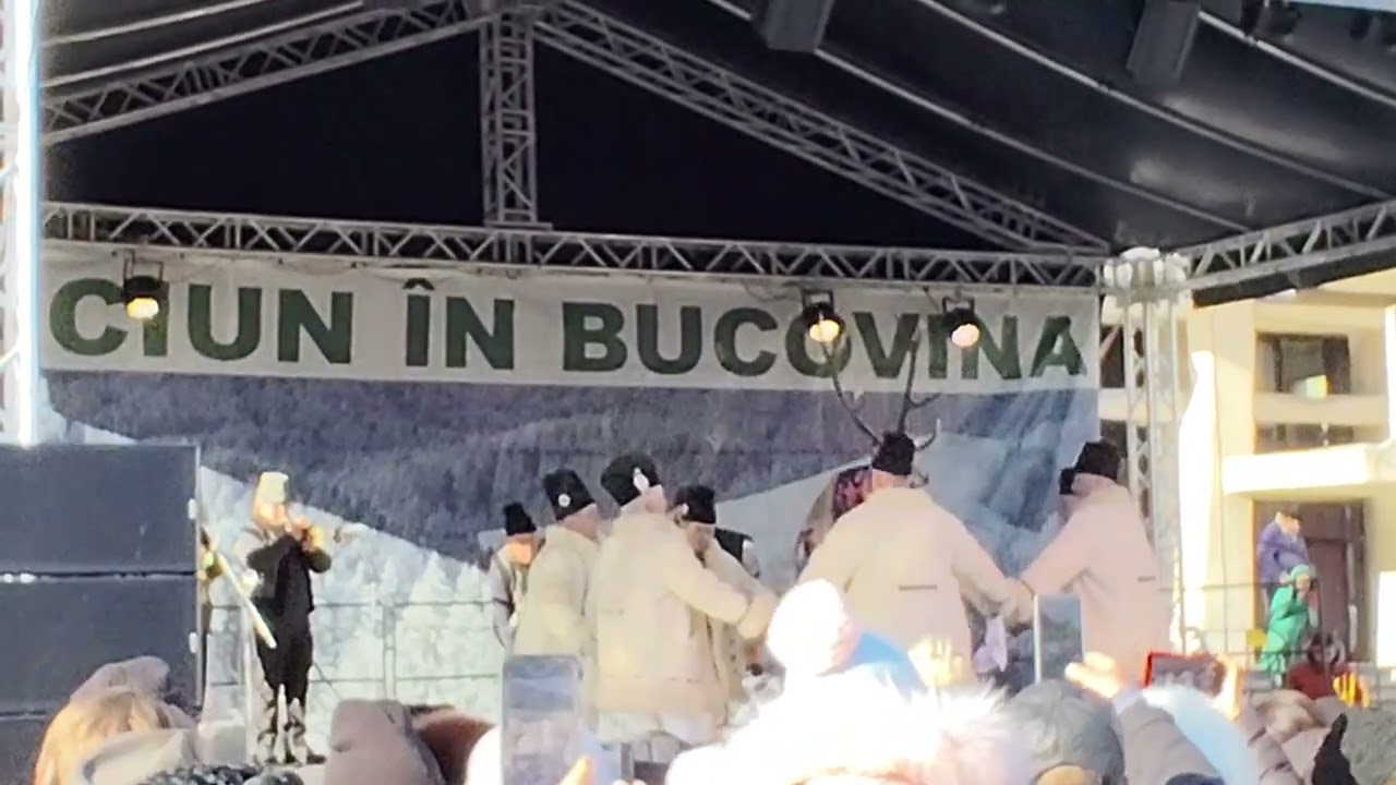  Datini 27.12.2025 Cerbul de la Corlata Suceava 
