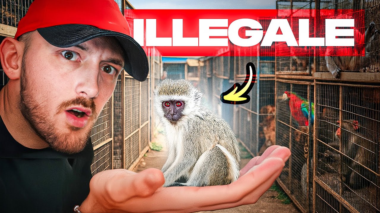 INFILTRATO nel mercato ILLEGALE di animali ESOTICI - Chatuchak Market