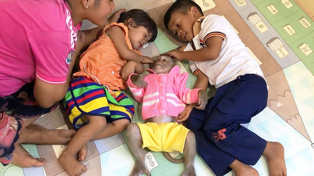 Smart Jason Lovable Behavior Relaxed Warmly With Sister Brother & Mom Tenderly Care