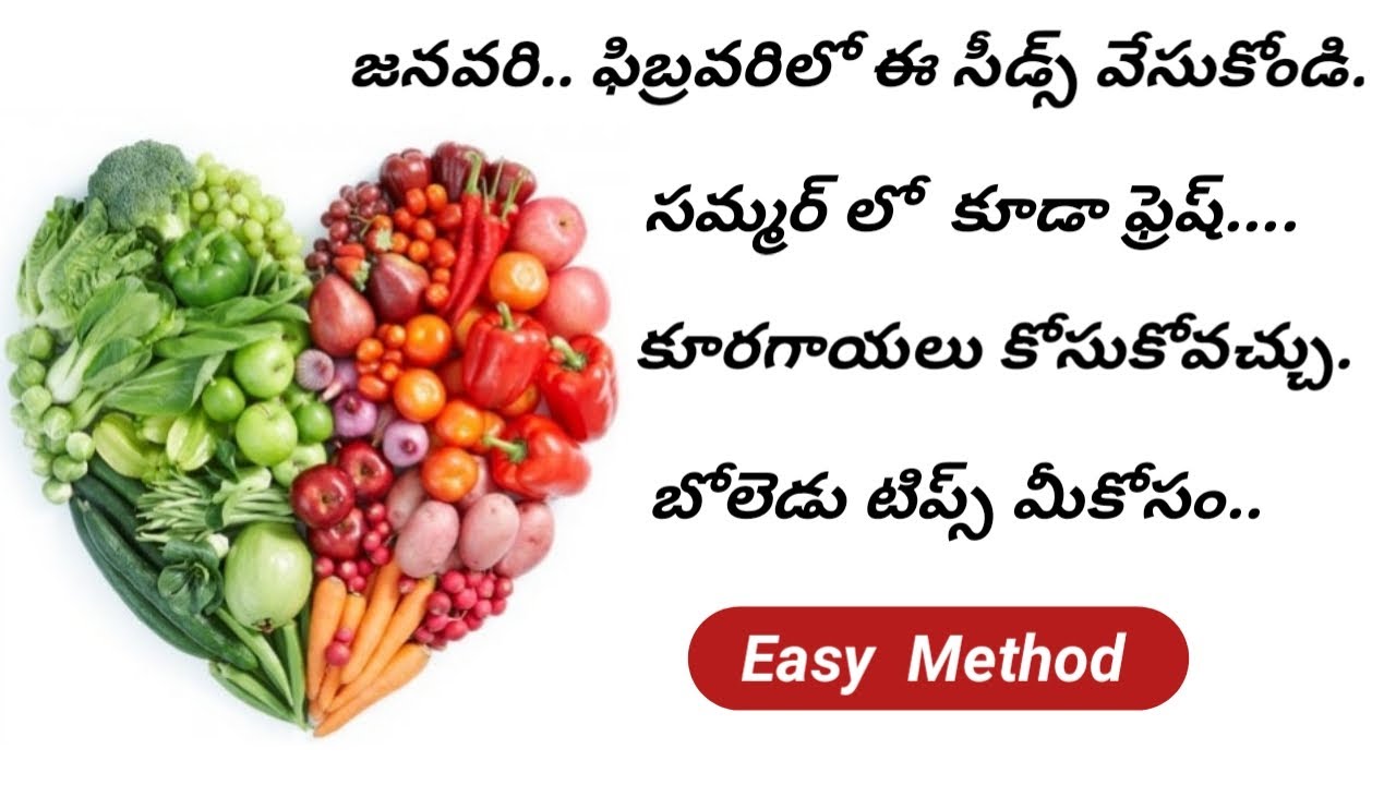 Top 15 Summer Season Vegetables To Grow /Fastest  Growing Method/15 Quick Growing Vegetables .